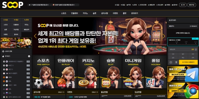 숲 먹튀