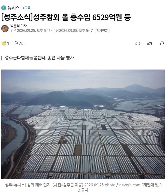 성주 참외 근황