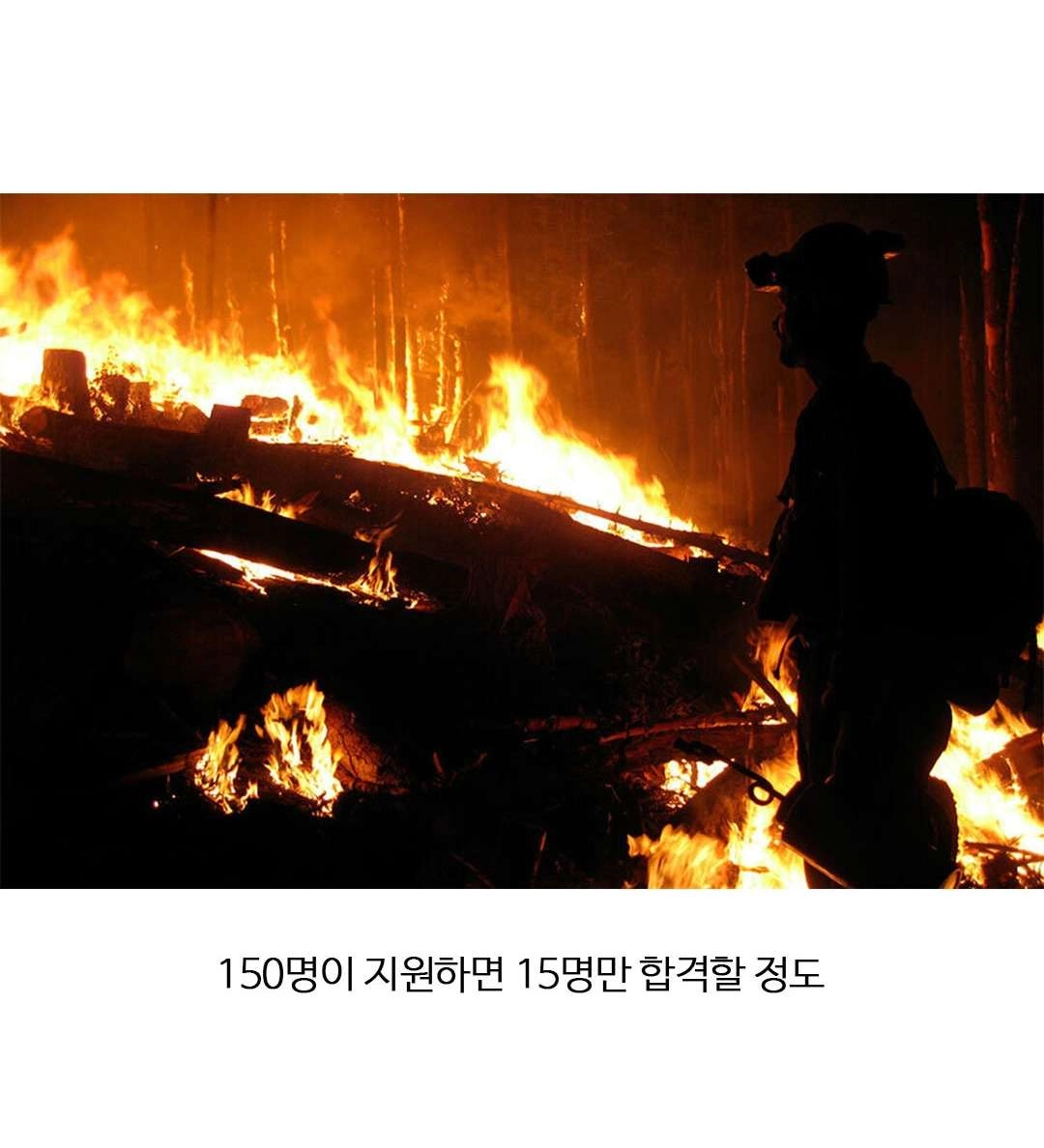 미국에서 엄청난 자랑이라는 직업