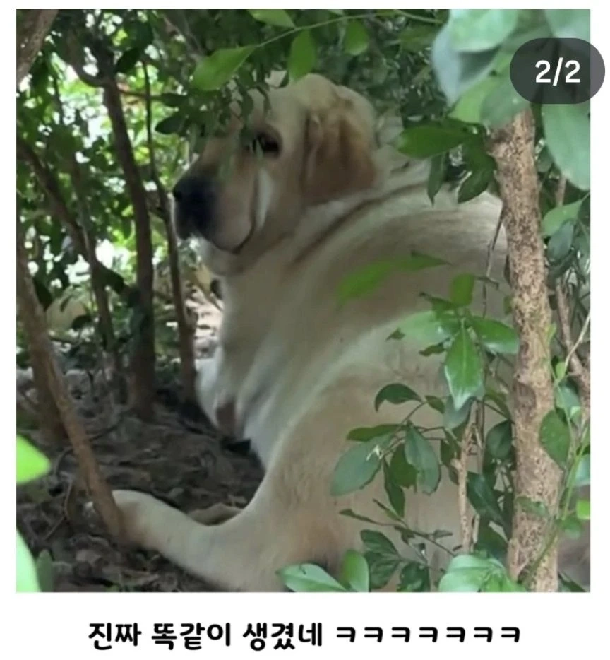 정직한 표지판