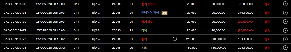 무료카지노 9연승 달성