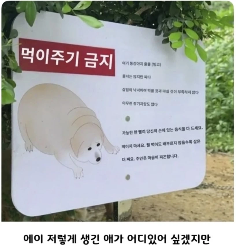 정직한 표지판
