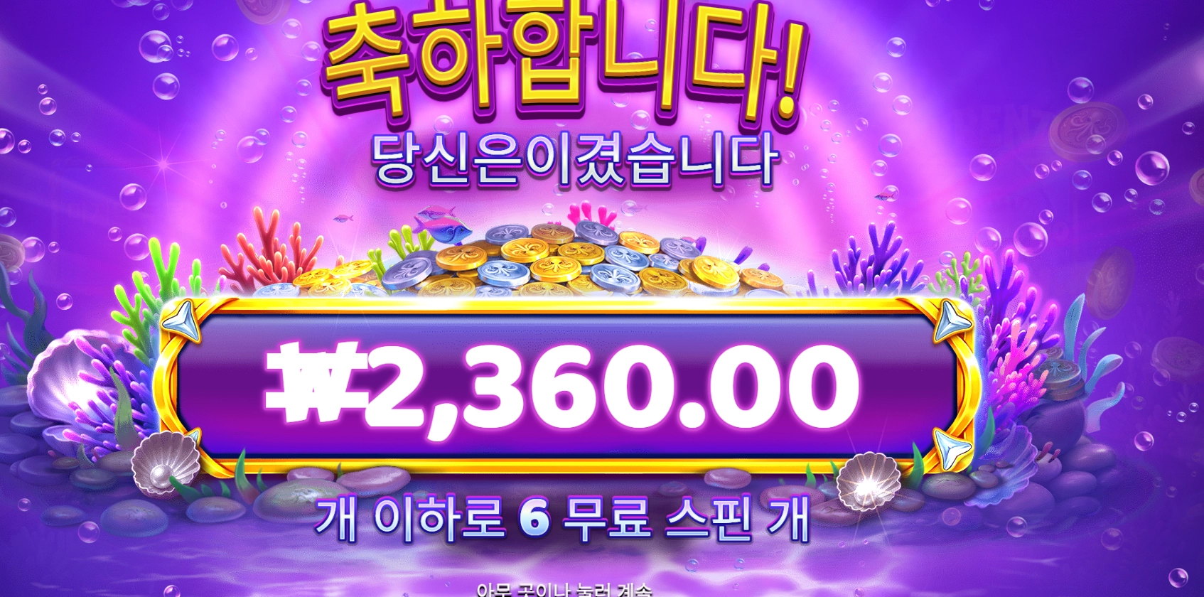 프라그마틱 딮 씨 프렌지 리뷰