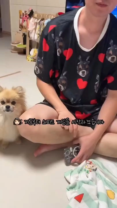실시간 학습하는 강아지