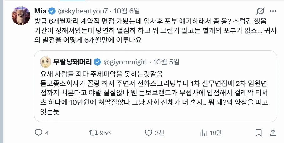대한민국 사회 전체가 너 혹시... 뭐 돼?라는 느낌임