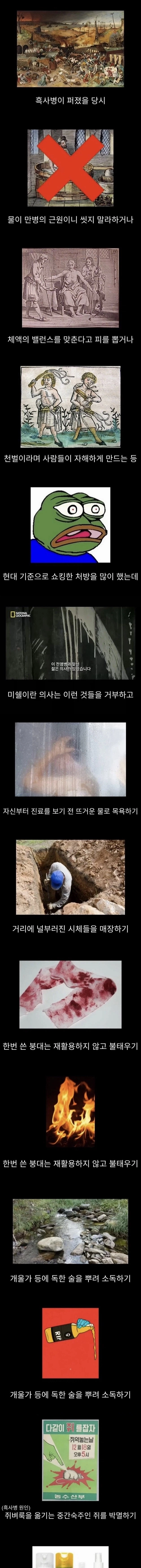 프랑스에서 흑사병을 퇴치한 전설의 의사