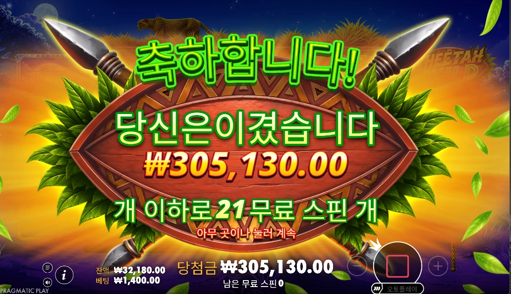 치타와일드 리뷰