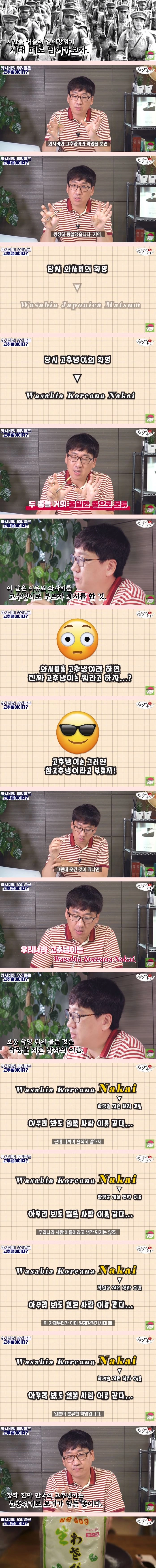와사비말고 '고추냉이'라고 부릅시다?