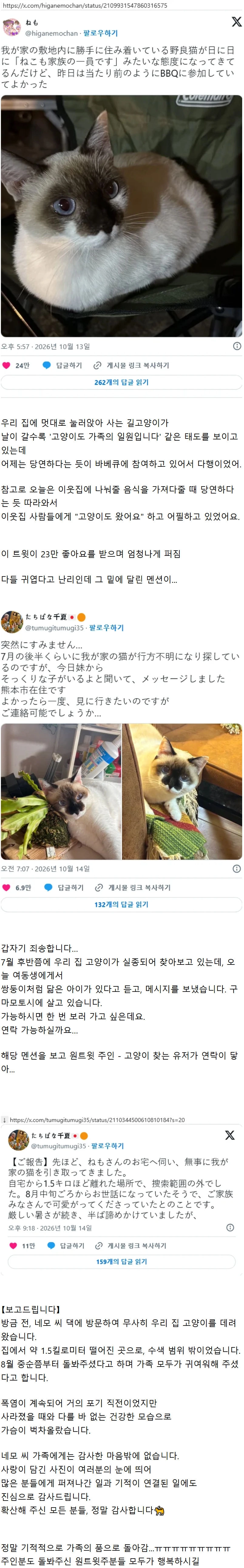 일본 트위터에서 좋아요 대박난 뻔뻔한 길고양이