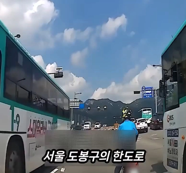 신호위반에 길막하던 운전자의 최후