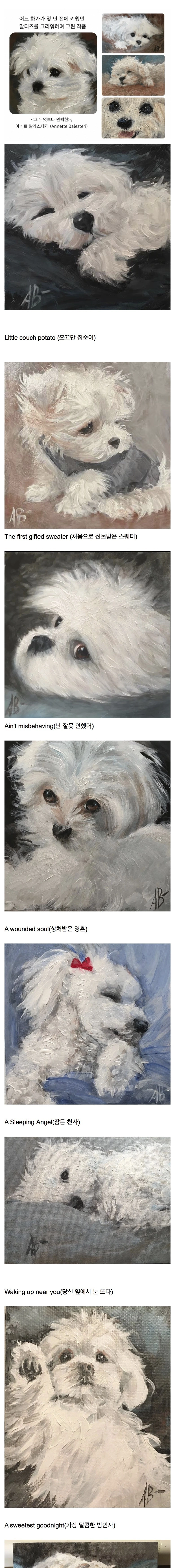 작가가 자신이 키웠던 말티즈를 그린 그림들