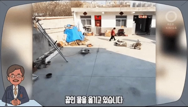 은혜갚은 댕댕이