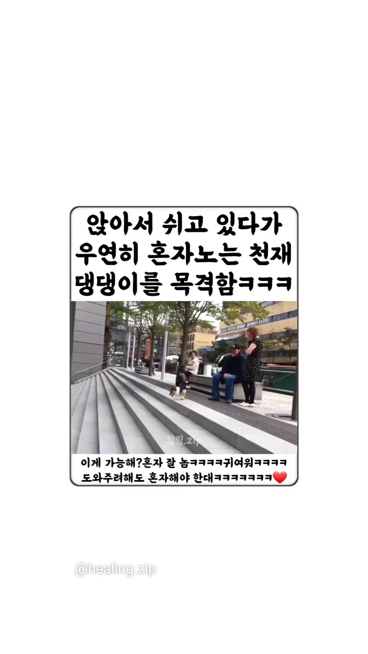 이게 가능하구나 천재견이네.
