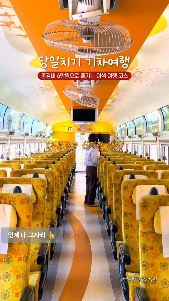 당일치기 기차여행