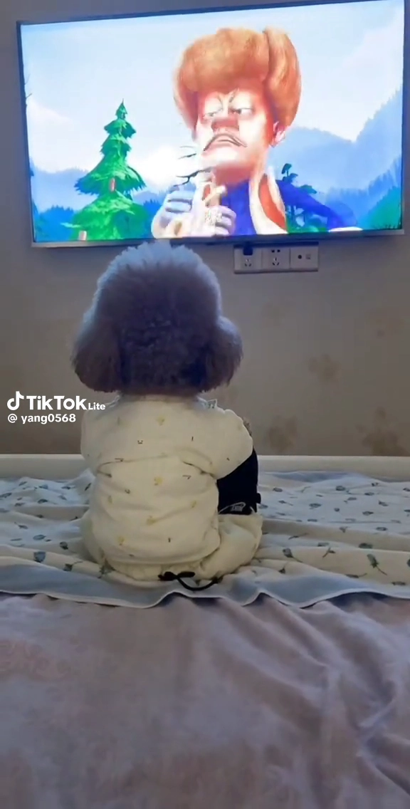 강아지가 아니고 사람이네
