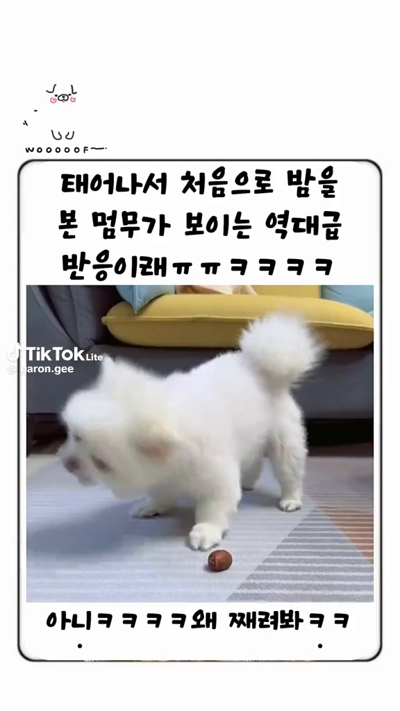 골때리는 녀석