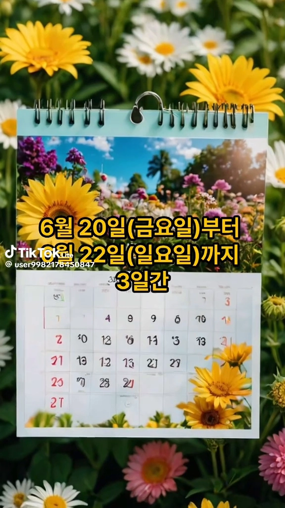 포항불꽃축제