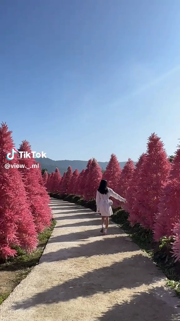 허브아일랜드