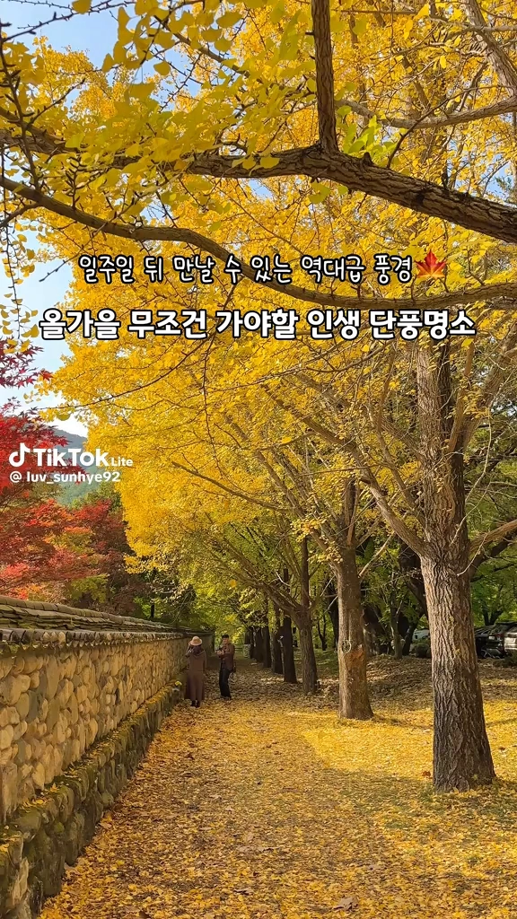 청도운문사