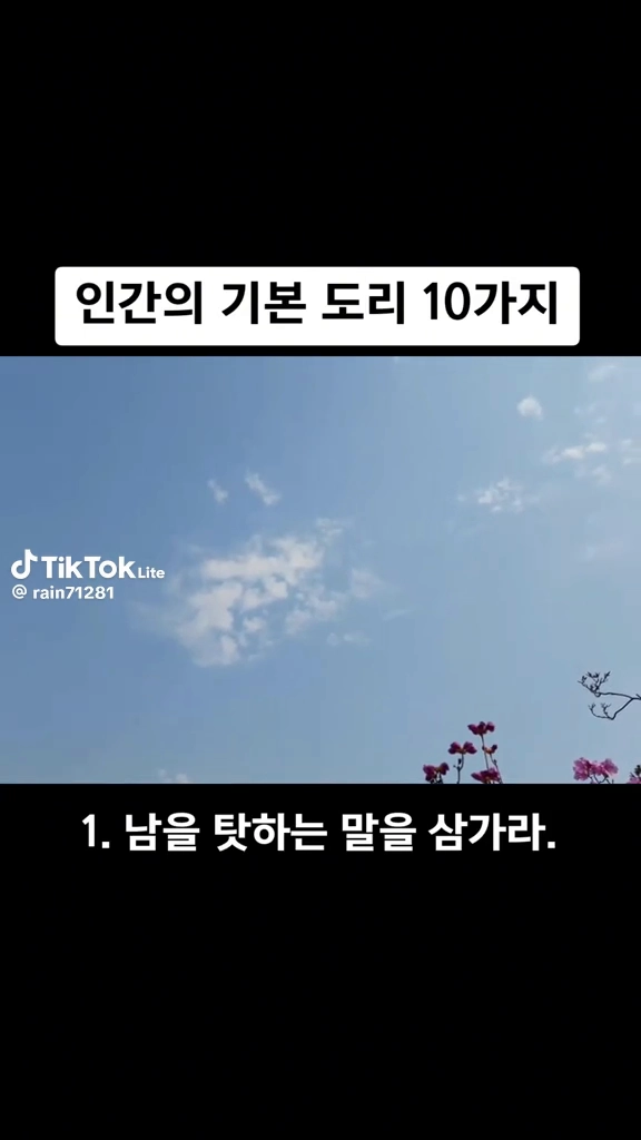 인간의 기본도리