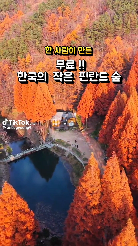 한국의 필란드숲