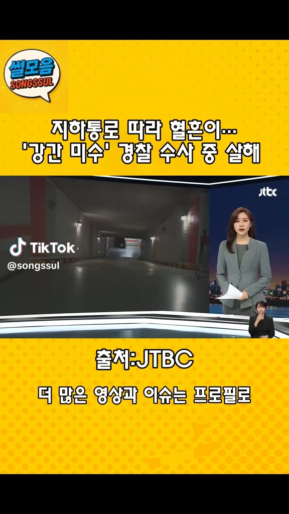 강간미수 경찰수사중 살해