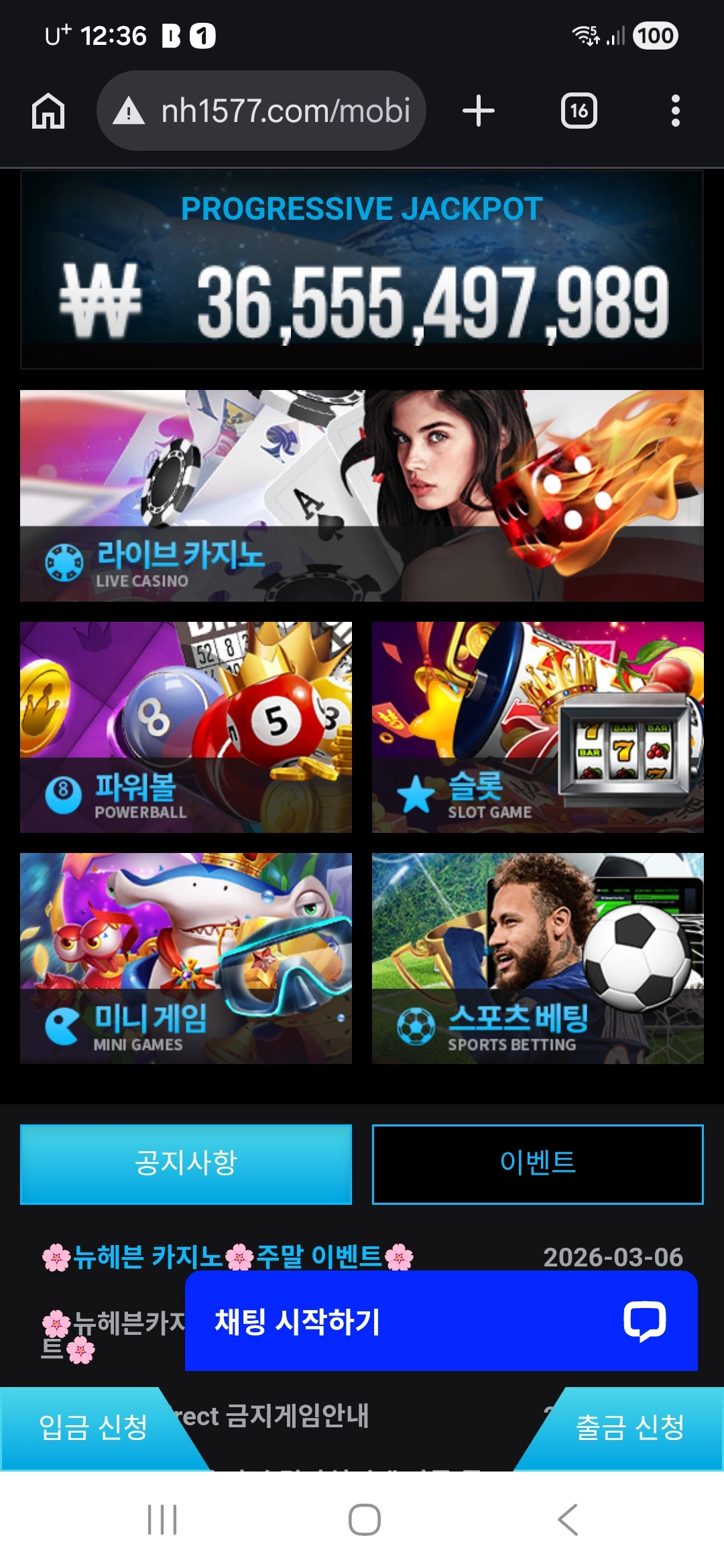 프라그마틱 뉴헤븐