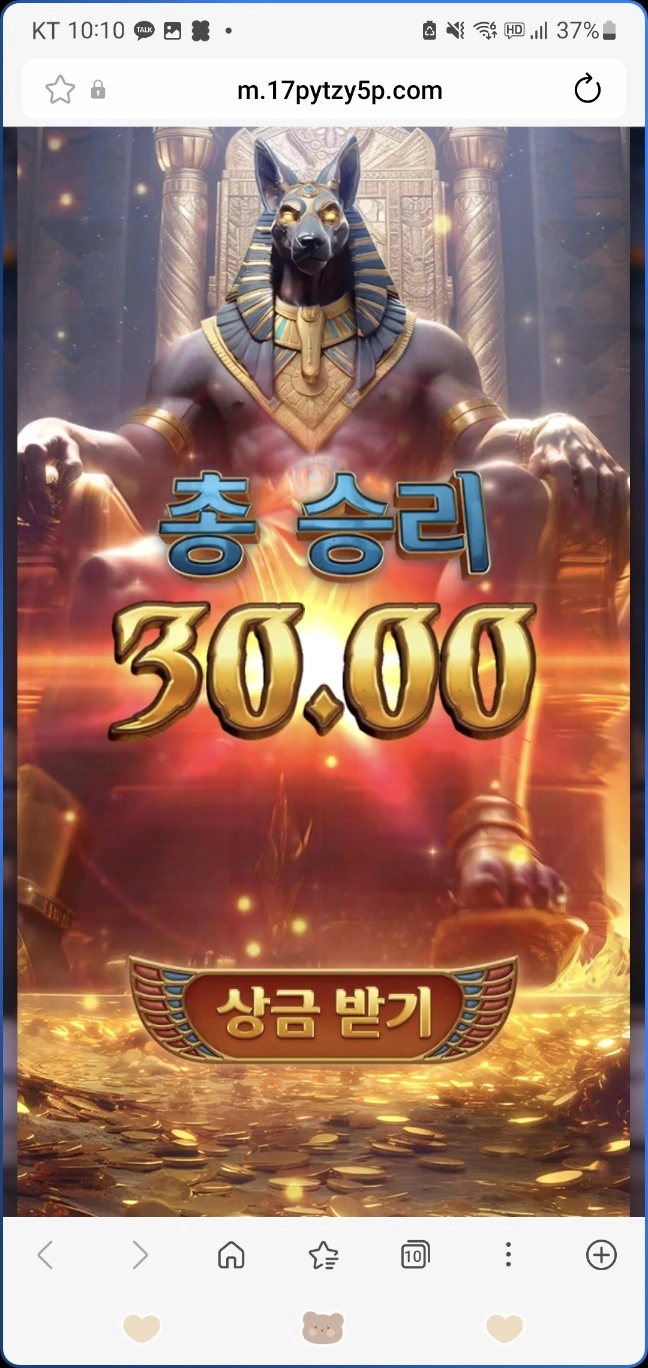 피지아누비스 리뷰