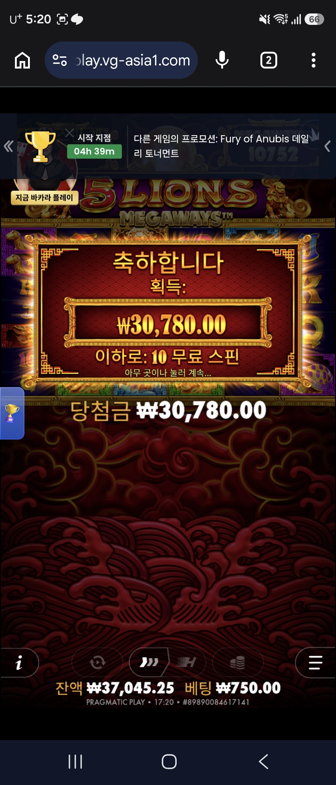 프라그마틱 오라메