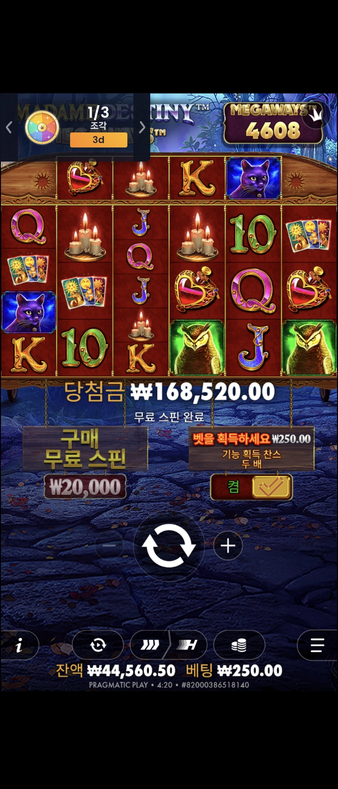 프라그마틱 마담 메가웨이