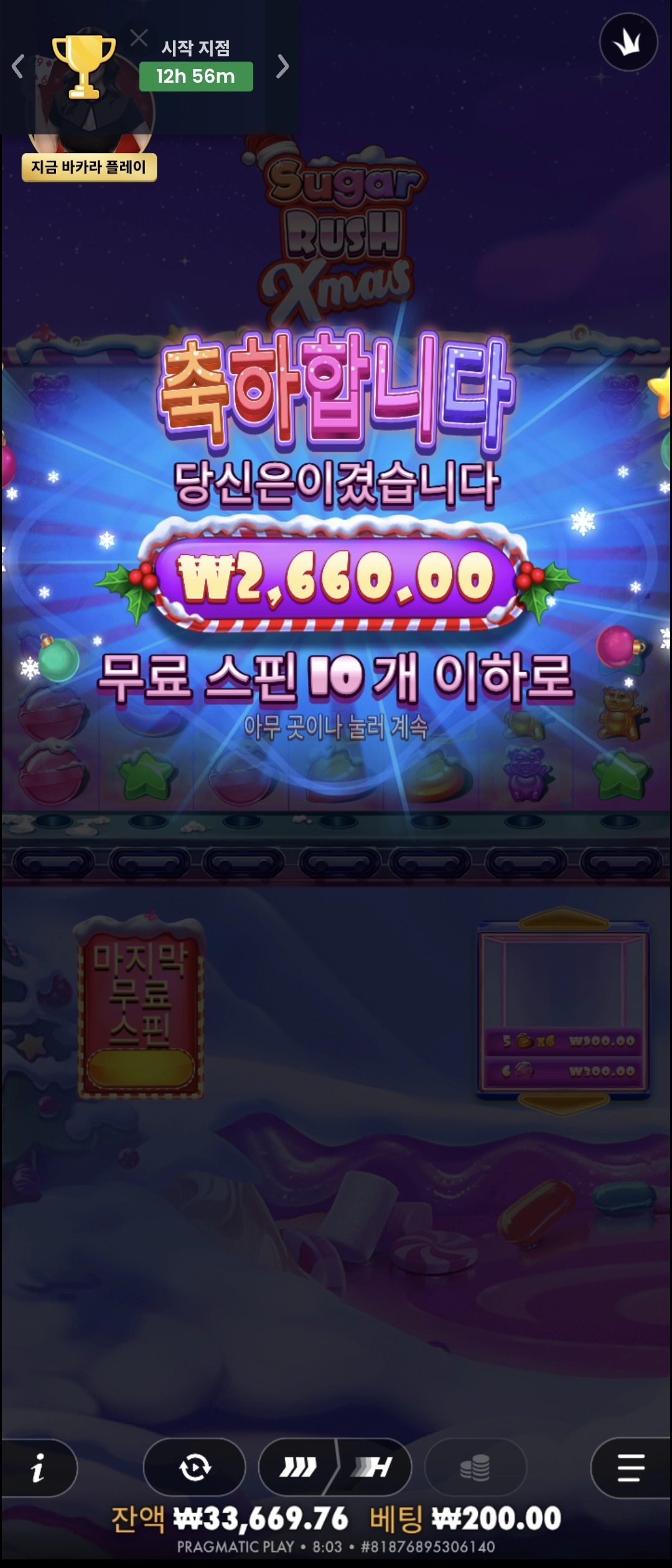 슈가크리스마스2 리뷰