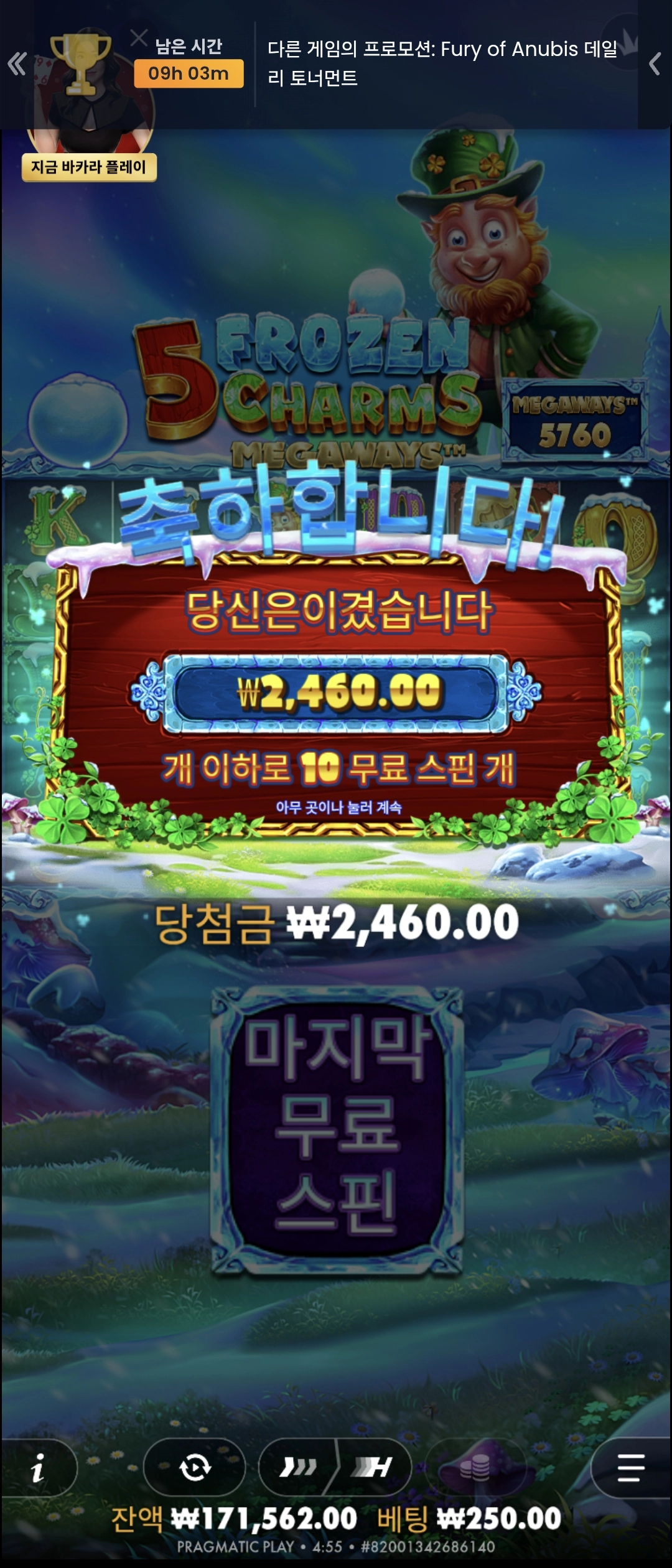 프라그마틱 프로즌