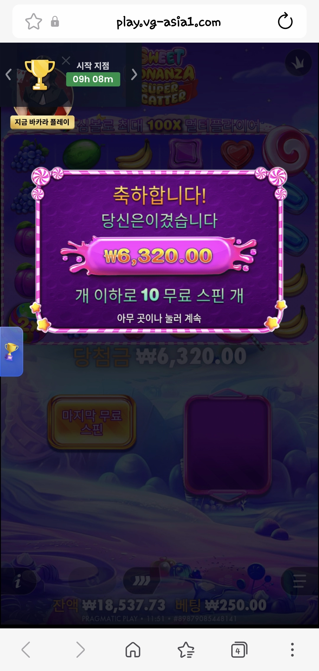 스위트보난자 후기