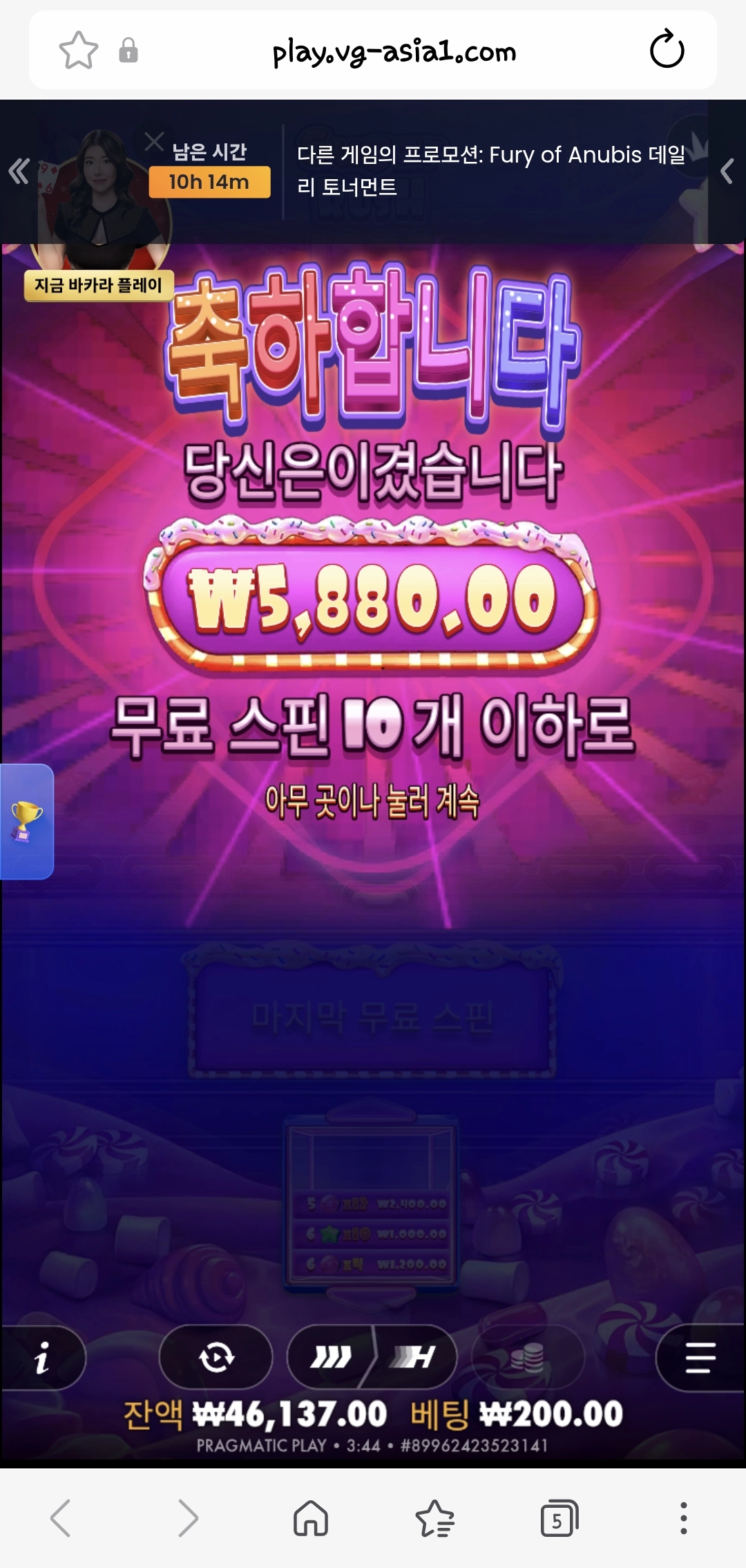 슈가1000 리뷰