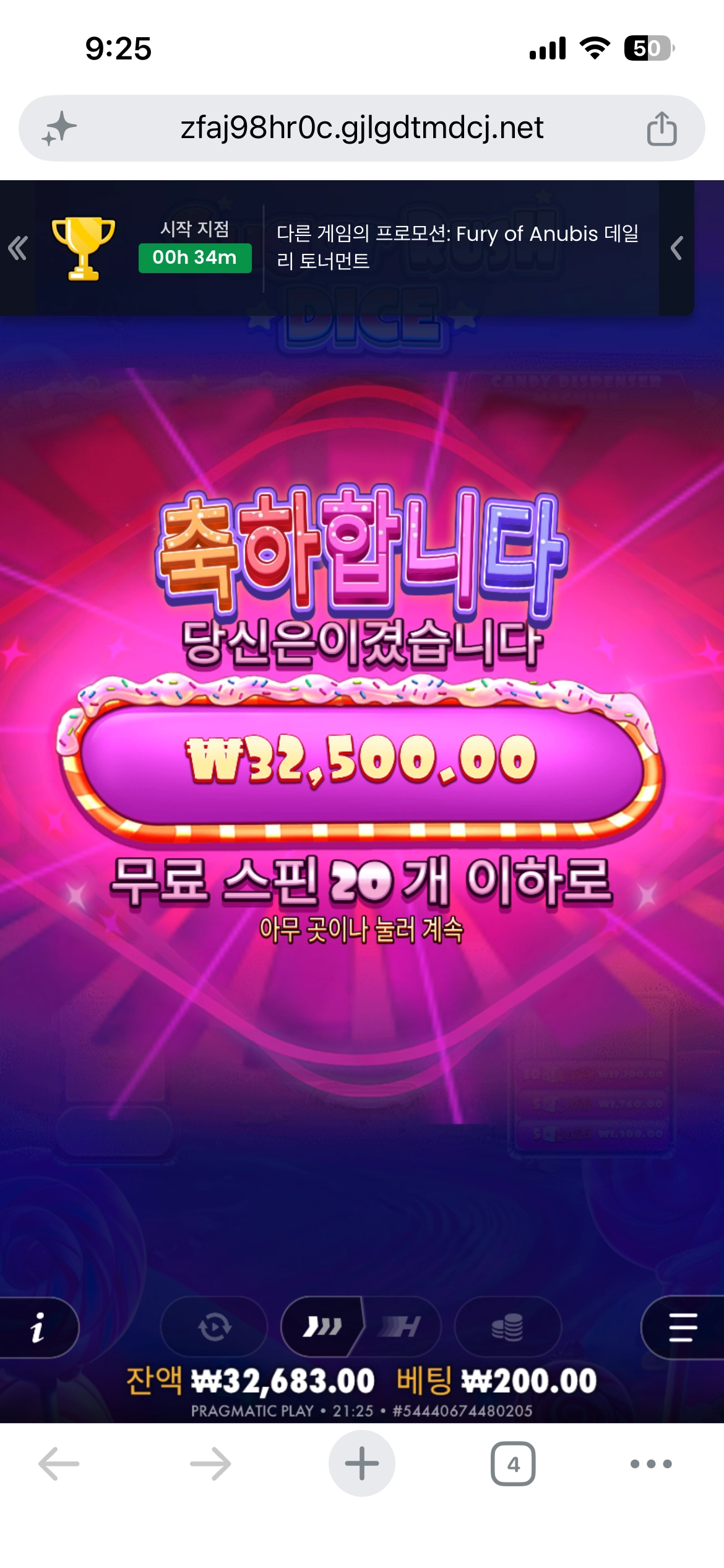 슈가다이스 리뷰