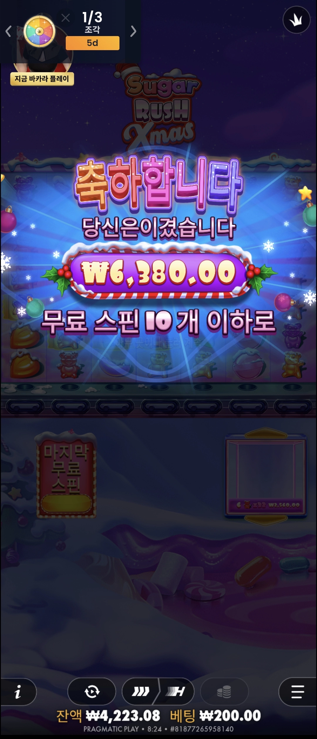 슈가크리스마스 리뷰