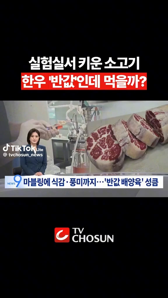 실험실서 키운 소고기